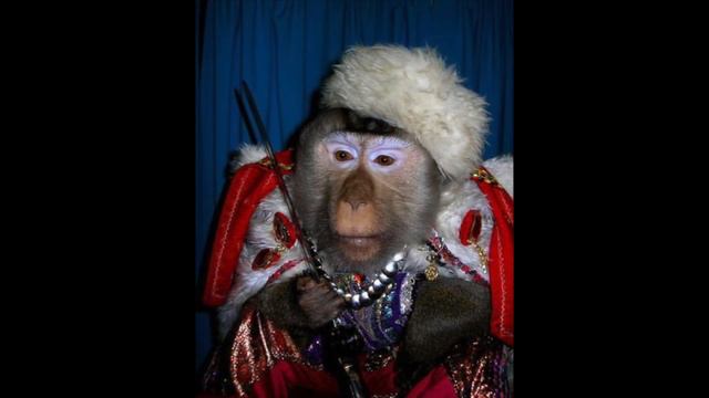 Истерика Ильхама смотреть онлайн