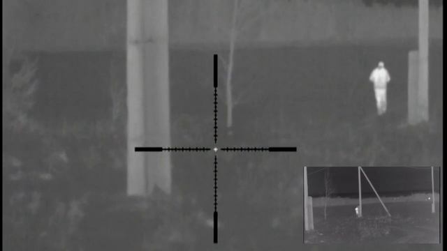 Pulsar Apex XD75+Pulsar Helion XP50