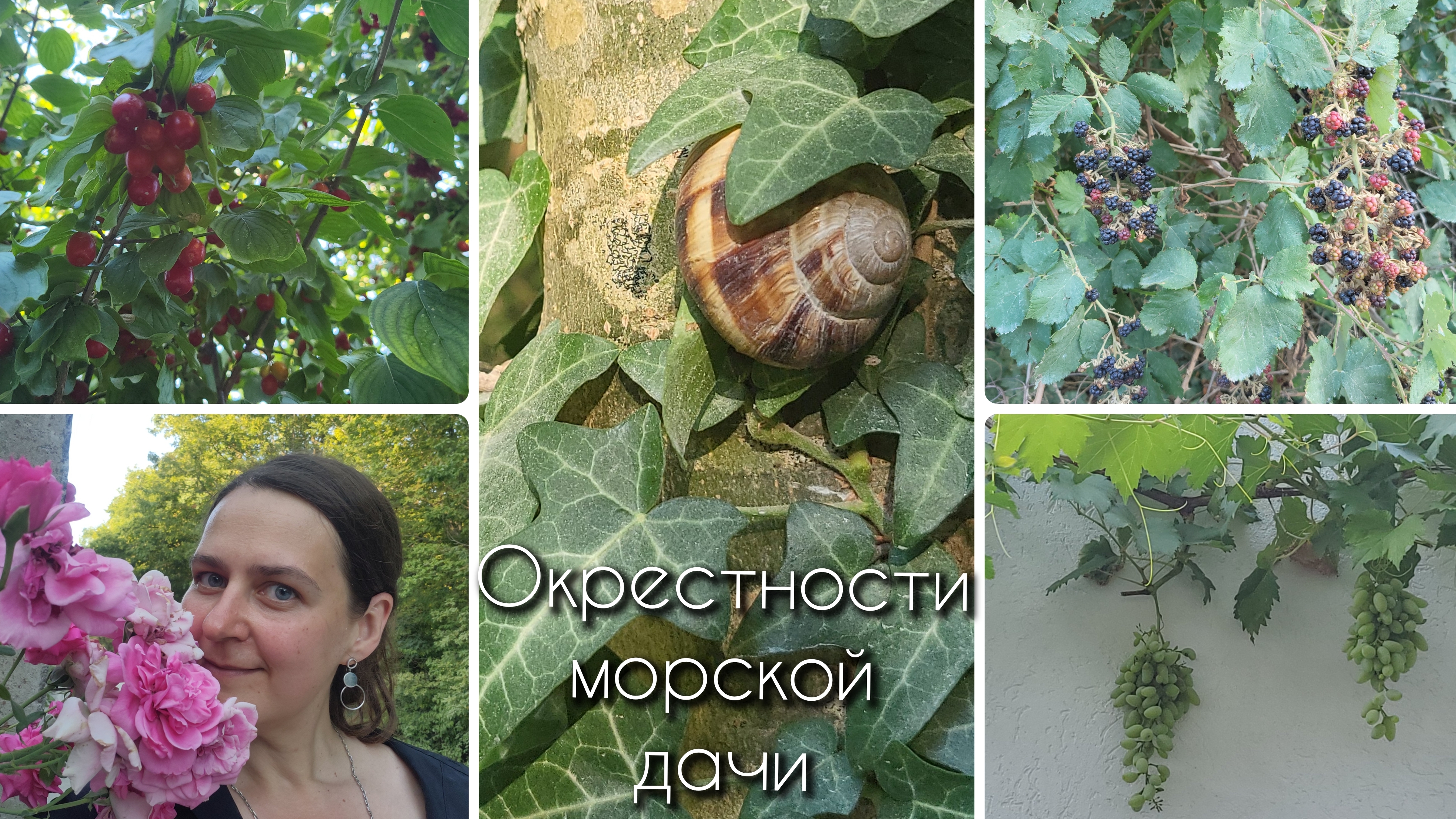 #Влог прогулка