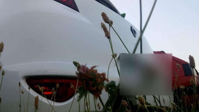 Renault Clio III GT startup and revs смотреть онлайн