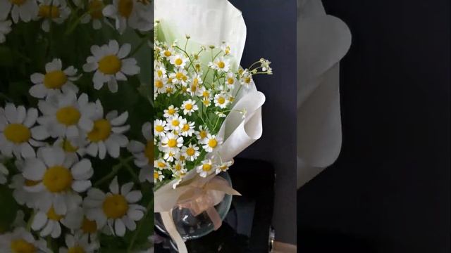 Весёлые ромашки. Букет №16. #доставкацветов #букетыназаказ #ромашки #цветымосква смотреть онлайн