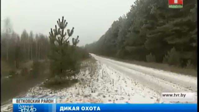 Журналистское расследование оборотни в погонах В Ветковском районе смотреть онлайн