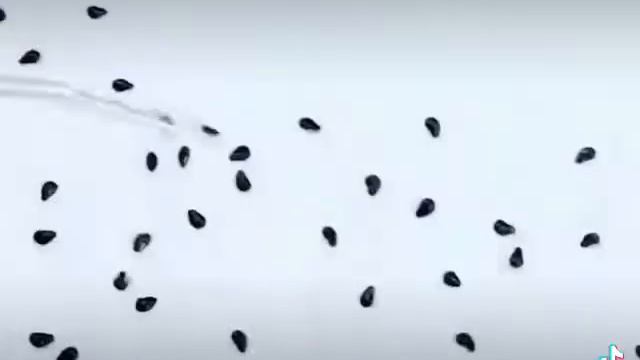 Выращиваем фрукт,цветы и грибы смотреть онлайн