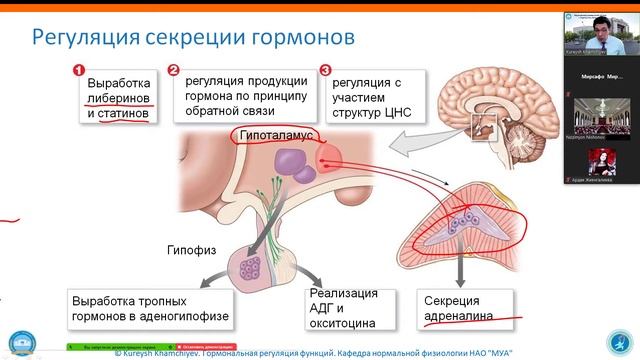 Душанбе 11. 03. 21. Лекция.в ТГМУ. На 40 минуте - видеоклип о кафедре нормальной физиологии МУА смотреть онлайн