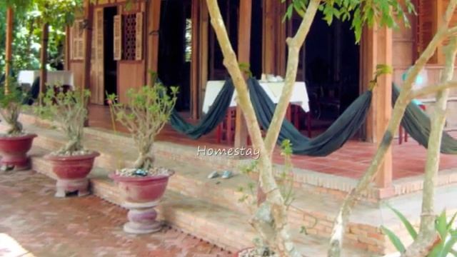 Vinh Long Tourist смотреть онлайн