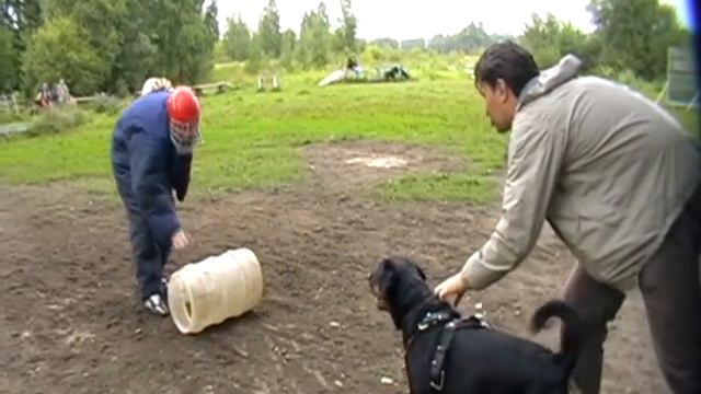 Лунный Свет Сирена смотреть онлайн