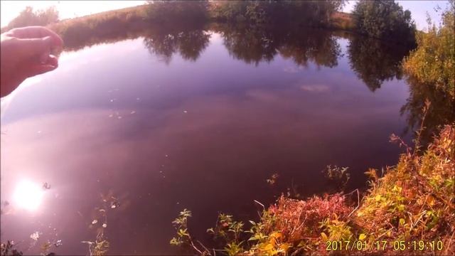 КАРАСИК НА ПОПЛАВОК.mp4