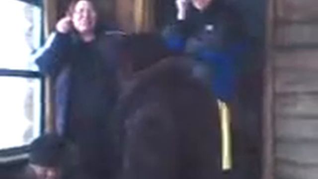 КОЛЯ-С ТАНЦЕМ.3gp смотреть онлайн