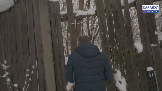 РЕЙДЫ ПО БРОДЯЧИМ СОБАКАМ ПРОВОДЯТСЯ В САРАПУЛЕ смотреть онлайн