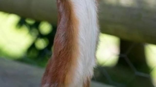 Валерий Кипелов-я свободен смотреть онлайн