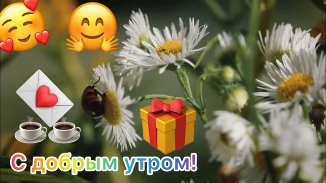 С🥰добрым💌утром!🙏И🤗новым🎁днём💋самым😘любимым💝единственным☕️☕️для вас💐🧚🏻♀️ смотреть онлайн