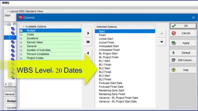 Primavera P6 18.8 Dates Tips 1 of 3 смотреть онлайн