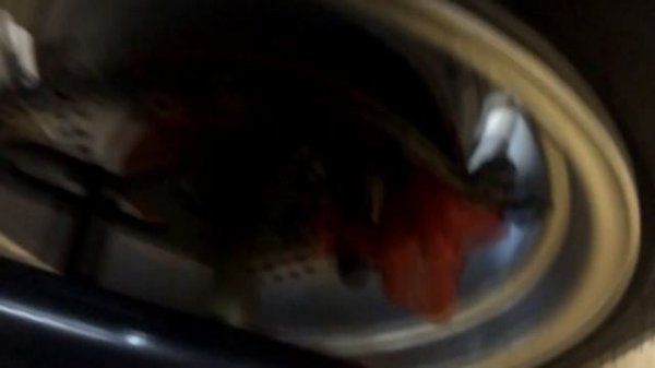 Сборка электроскутера CityCoco Lux + прокачка тормозов | Electrostreet.ru