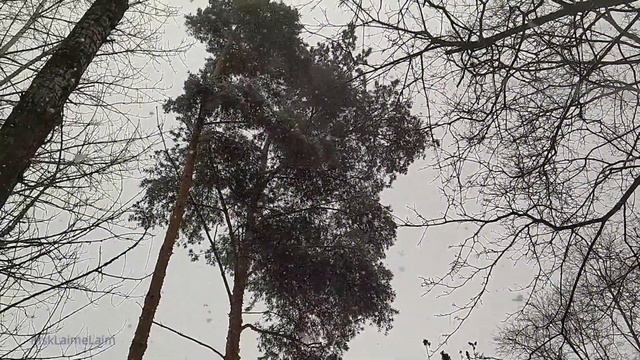 Сильный снегопад в Москве 2 апреля смотреть онлайн