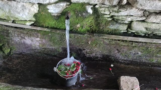 Черешни смотреть онлайн