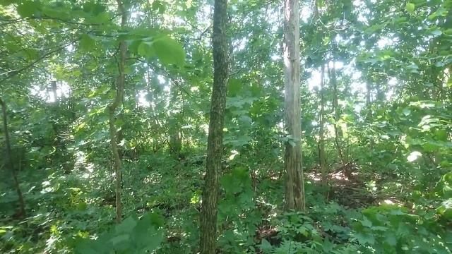 В поисках электродвигателя. Лом, медь и куча чермета вокруг бывшего цеха. смотреть онлайн