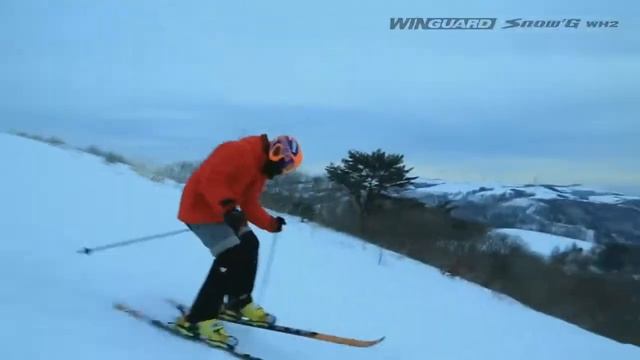 Anvelope de IARNA NEXEN WINGUARD SNOWG WH2 - Anvelodrom смотреть онлайн