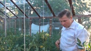 АВТОМАТИЧЕСКИЙ ПОЛИВ в теплице СВОИМИ РУКАМИ  + почему отпадают завязи в у томатов