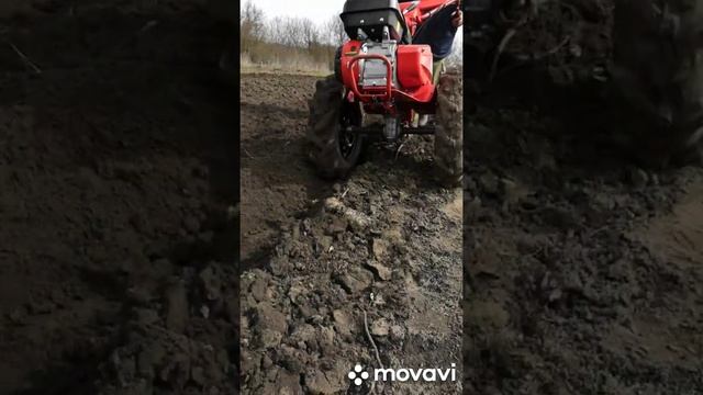 Мотоблок салют 100 хвс-01 с двигателем hwasdan 7.0 л.с Пашу мотоблоком первый раз. смотреть онлайн