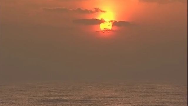 A Jornada De Ayurveda