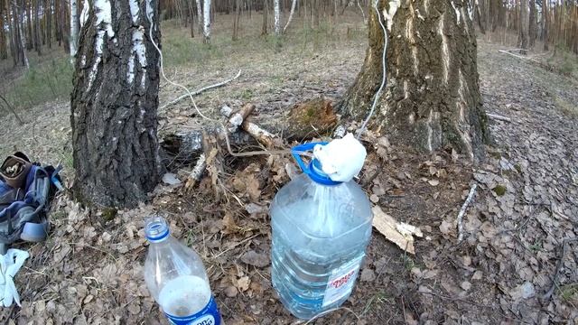 Грибные поделки с любовью