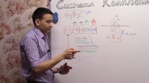 Система комплемента -Часть 1