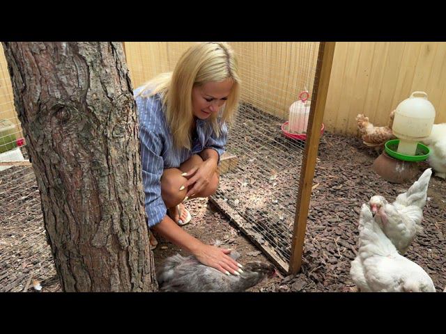 Прогулка по саду Екатерины Весны смотреть онлайн