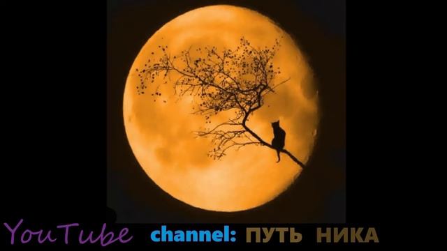 ? САМБО 1 #shorts смотреть онлайн
