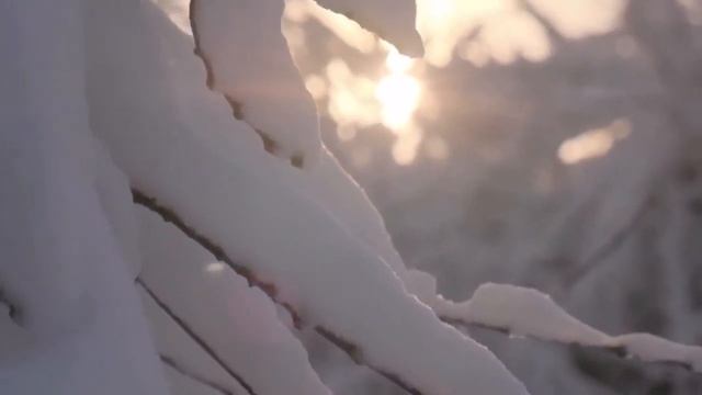 Зима что ль к нам на рандеву ? смотреть онлайн