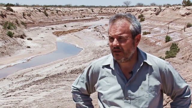 GUANACACHE De Martin Ferrari