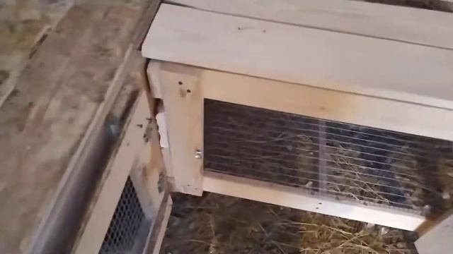 готовим помещение для цыплят с обогревом. смотреть онлайн