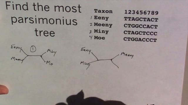 Phylogenetic Methods смотреть онлайн