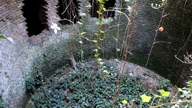 VILLA BAGATTI VALSECCHI VAREDO Canon m6 mkii by Ph Leonardo S C смотреть онлайн