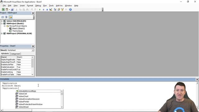 04 - Microsoft Excel VBA Fundamentals - Excel VBA Object Model and Immediate Window смотреть онлайн