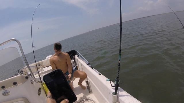 NJ Flounder/Fluke Fishing Using Gulp! // (new boat reveal + bonus snakehead vid) смотреть онлайн