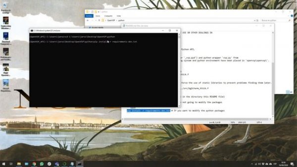 How to Install the OpenVSP Python API