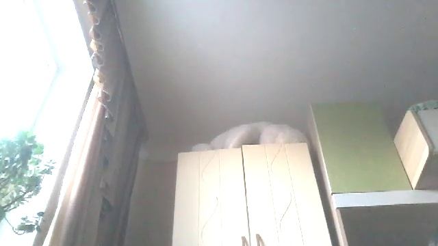 Карты режим дурак озартныии игры смотреть онлайн