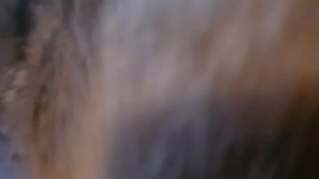 Очаровательный и милый крото-заяц смотреть онлайн