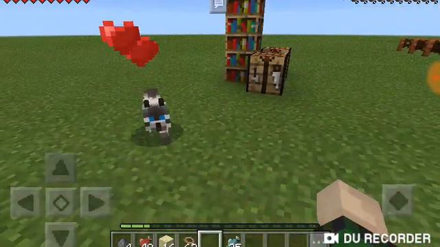 Кот карта от меня !!!!! : D смотреть онлайн