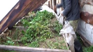 СИБИРЬ. РУКОТВОРНЫЙ ЧЕРНОЗЁМ СЕРГЕЯ ДЬЯЧЕНКО.