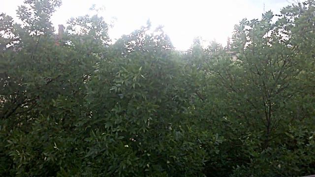 "Своё горе я прячу в строку..." смотреть онлайн