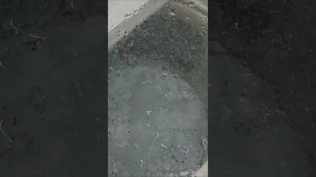 Вот такие в Японии стиральные машины смотреть онлайн