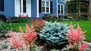 Все виды садовых цветов многолетников для Урала