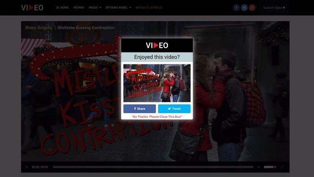 Best Video WordPress Theme смотреть онлайн
