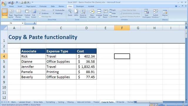 How to use basic Copy and Paste in Excel 2007 (Excel 07-018) смотреть онлайн
