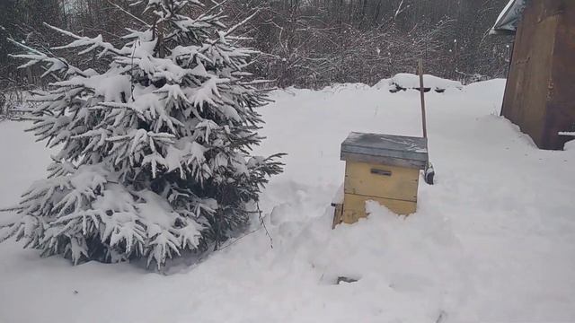 Один пчеловод в поле воин 2 смотреть онлайн