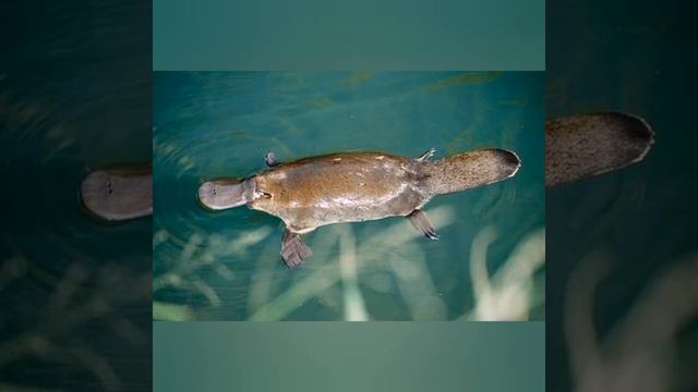 Стихотворение детям 