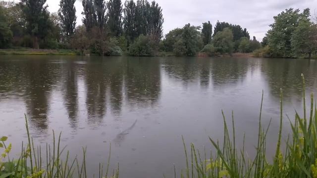 РЫБАЛКА В КБР !!!ЛОВЛЯ КАРПА НА ПОПЛАВОК НАСАДКА КУКУРУЗА смотреть онлайн