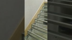 Обшивка лестницы на металлокаркасе деревом. От начала до конца.