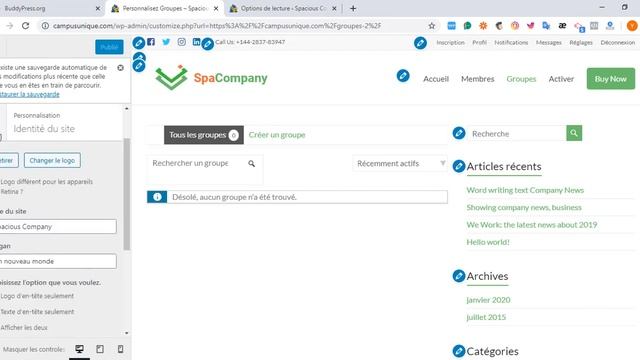 Comment Créer Un site De Communauté Avec Buddypress Et WorDpress смотреть онлайн